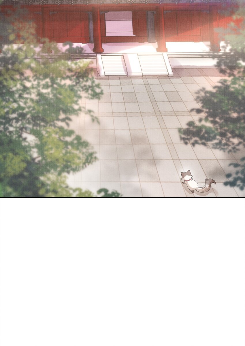 《女师祖无法飞升的理由》11 师尊，你就是我们想跟随的女人！ 第23页