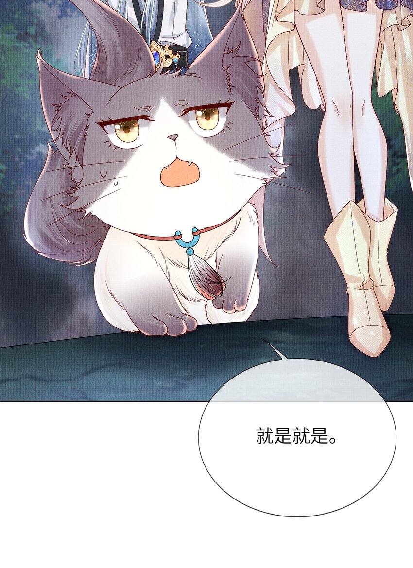 《女师祖无法飞升的理由》17 夜宿破庙忆往事 第15页