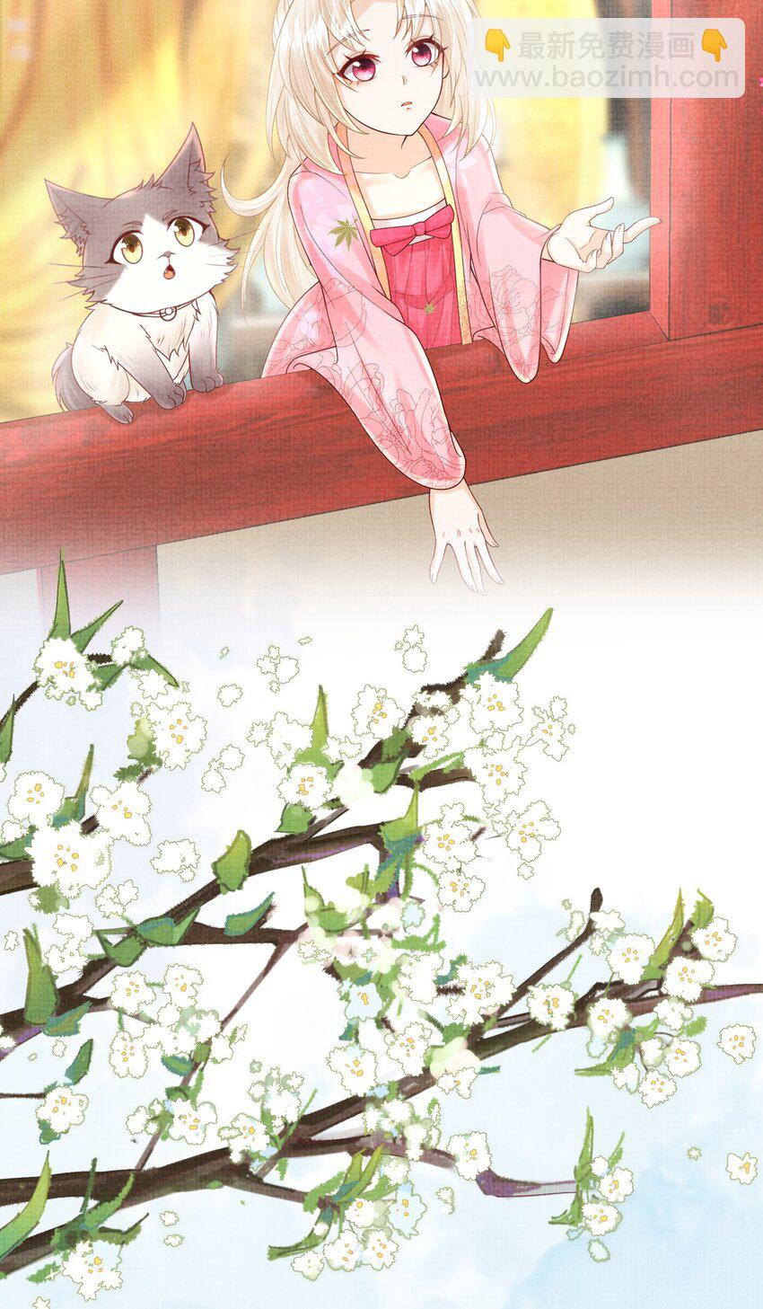 《女师祖无法飞升的理由》18 元煌，我只有你了！ 第13页
