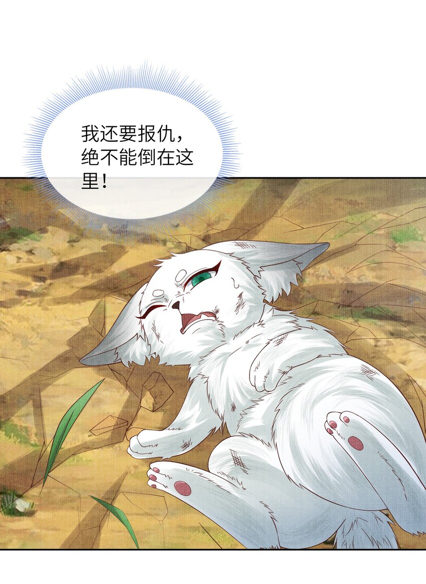 《女师祖无法飞升的理由》30 这是什么声音？ 第47页
