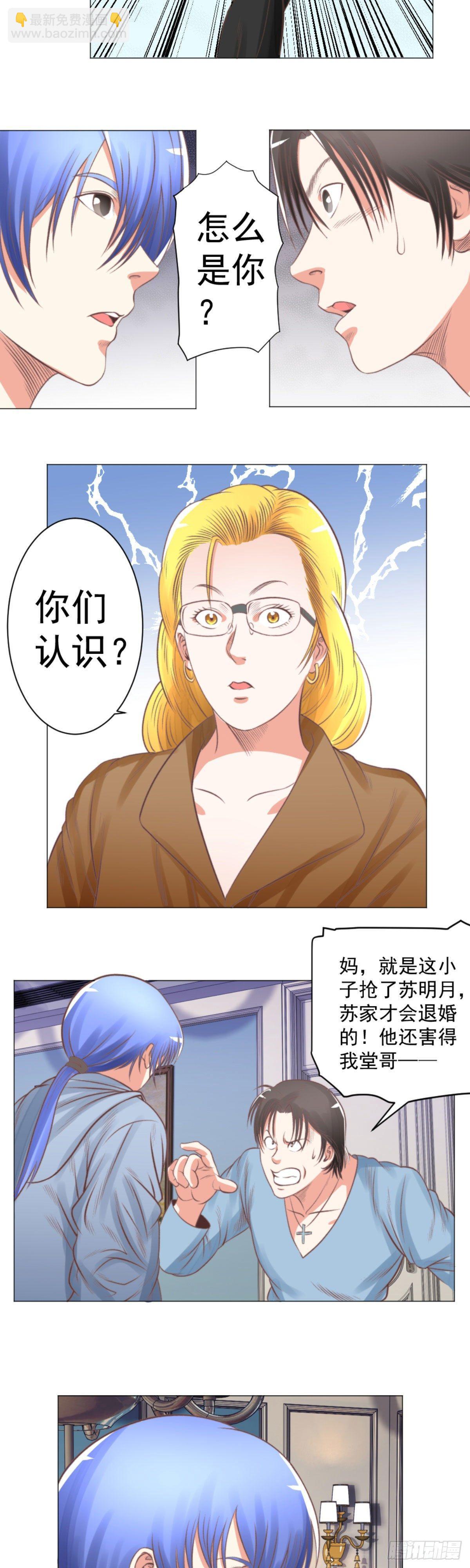 《透视医圣》血蛊虫 第13页