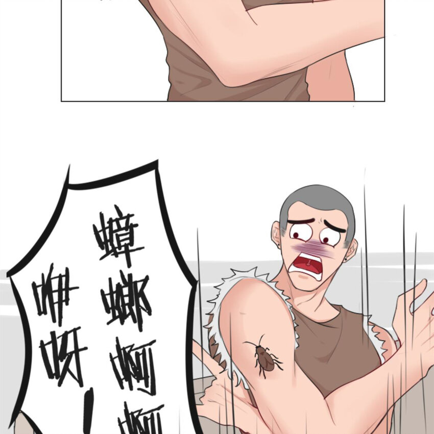 《网瘾少女翻车日常》25 有蟑螂啊！会飞的！！ 第4页