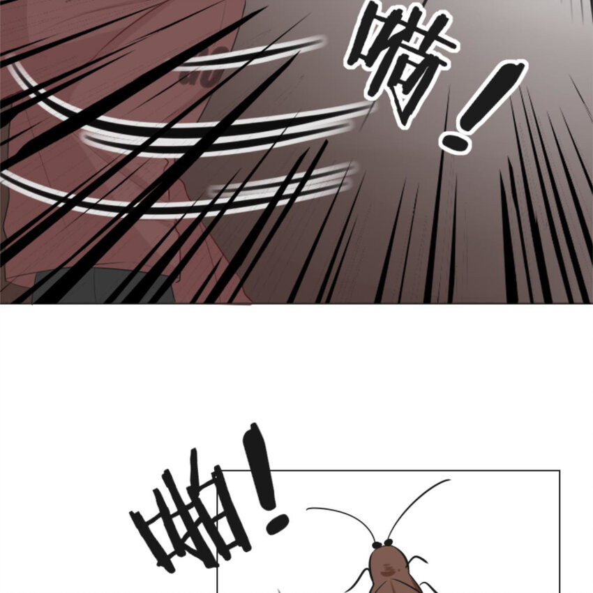 《网瘾少女翻车日常》25 有蟑螂啊！会飞的！！ 第11页