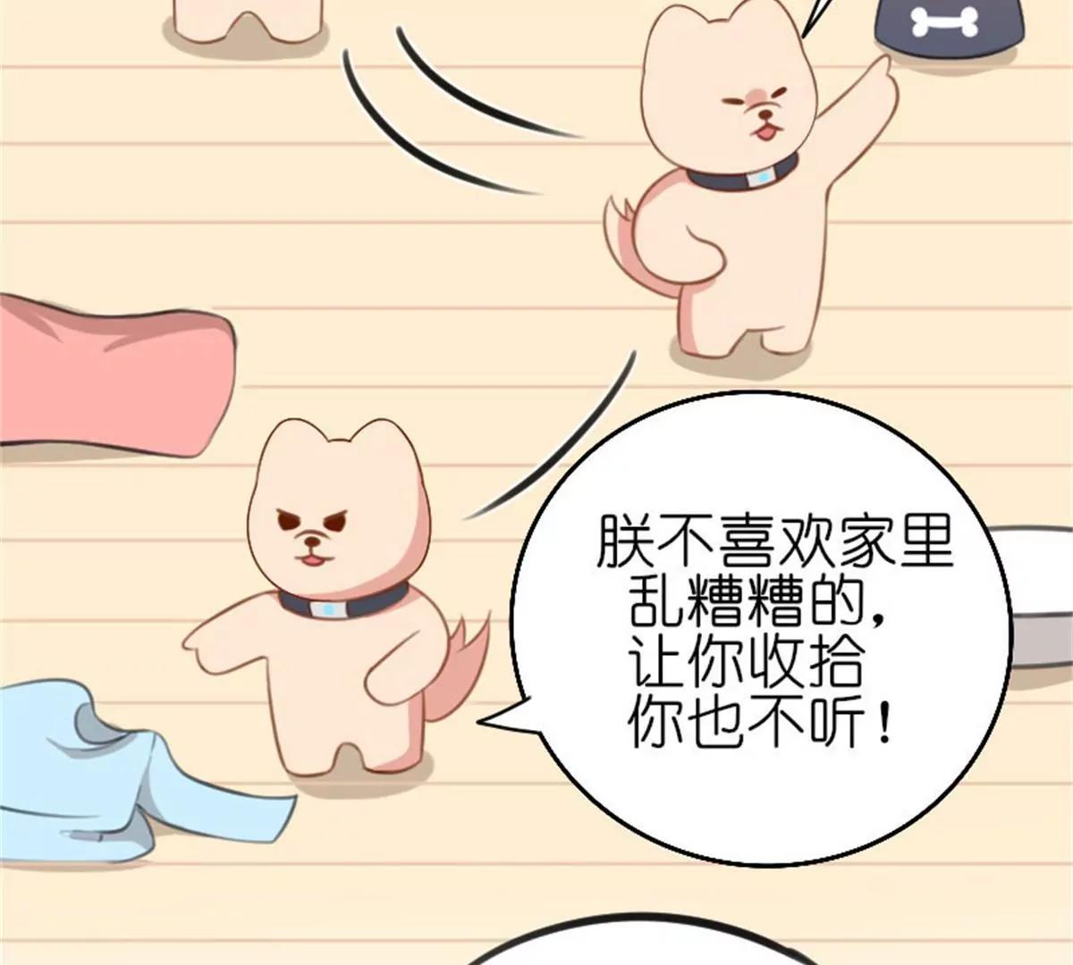 《网瘾少女翻车日常》狗语翻译器 第31页