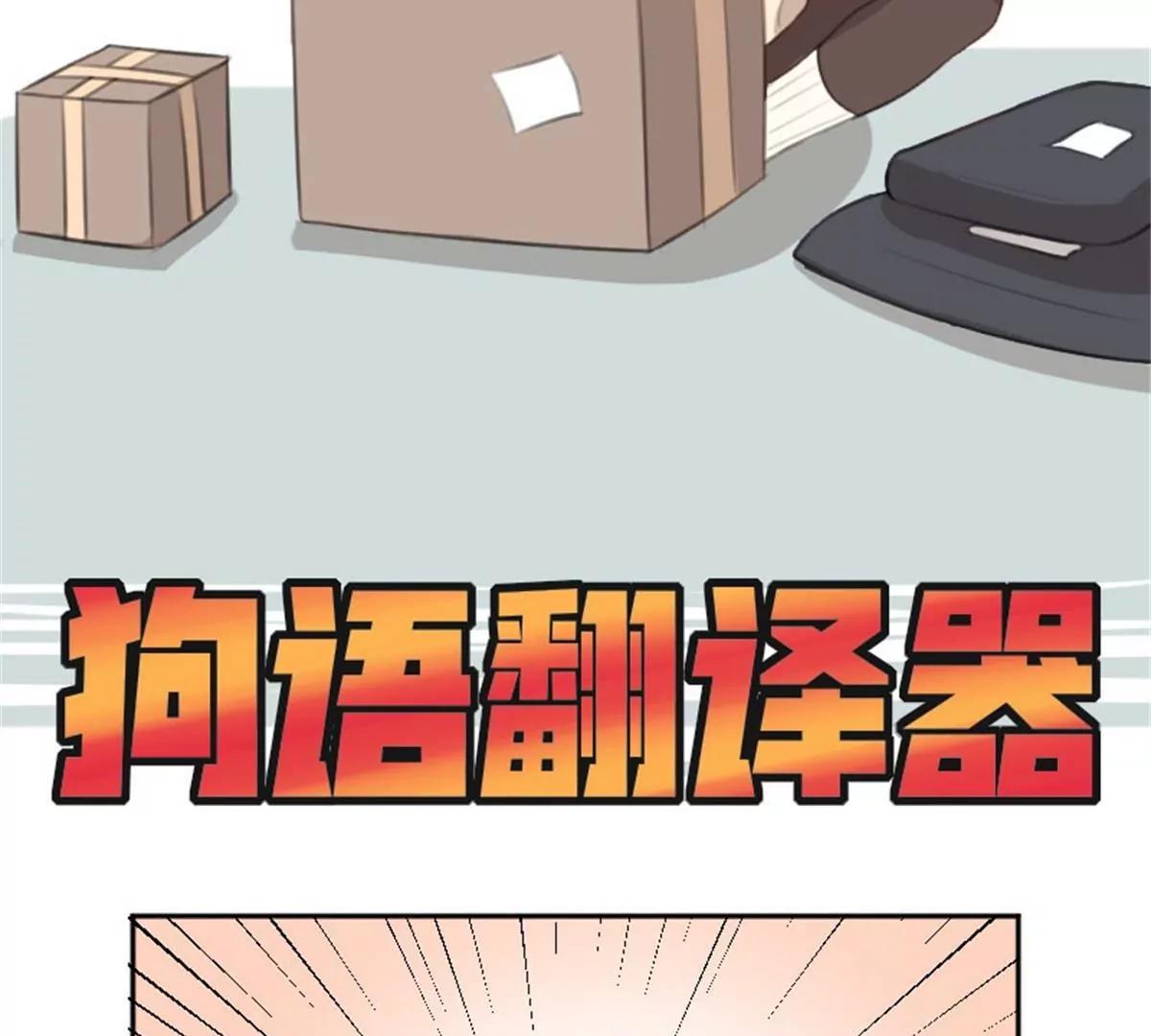 《网瘾少女翻车日常》狗语翻译器 第5页