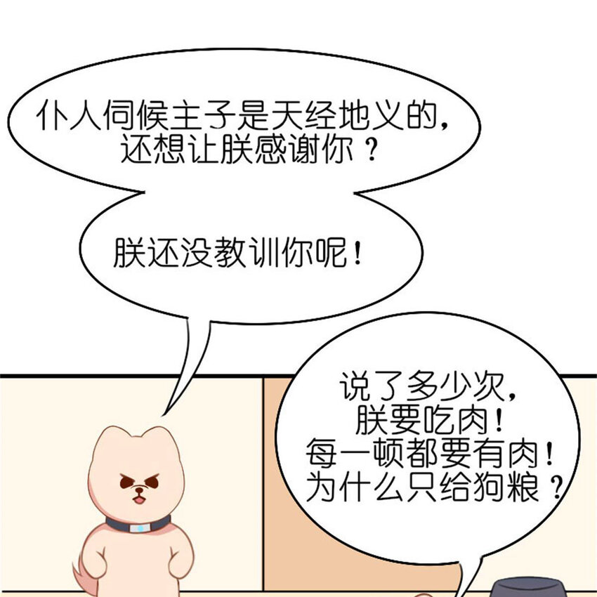 《网瘾少女翻车日常》35 狗语翻译器 第15页