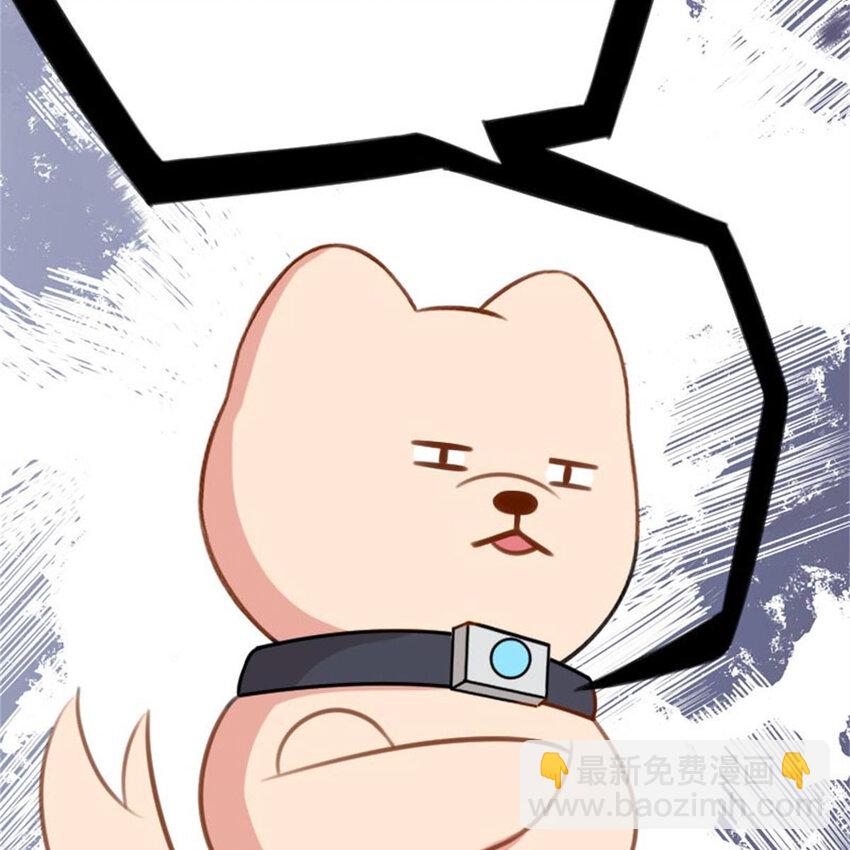 《网瘾少女翻车日常》35 狗语翻译器 第13页