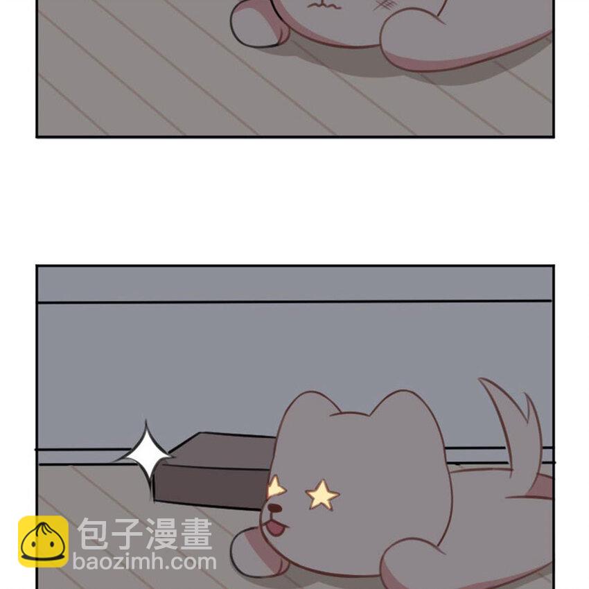 《网瘾少女翻车日常》35 狗语翻译器 第36页