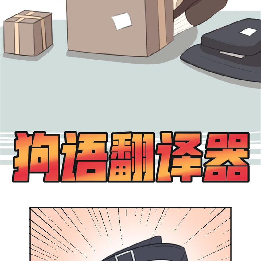 《网瘾少女翻车日常》35 狗语翻译器 第3页