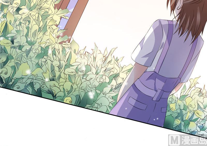 《BOSS的呆萌丫头》第49话 求婚成功 第14页