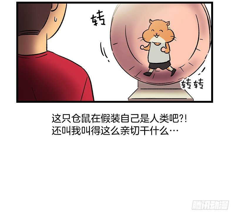《我家没有正常人》逃避现实 第7页
