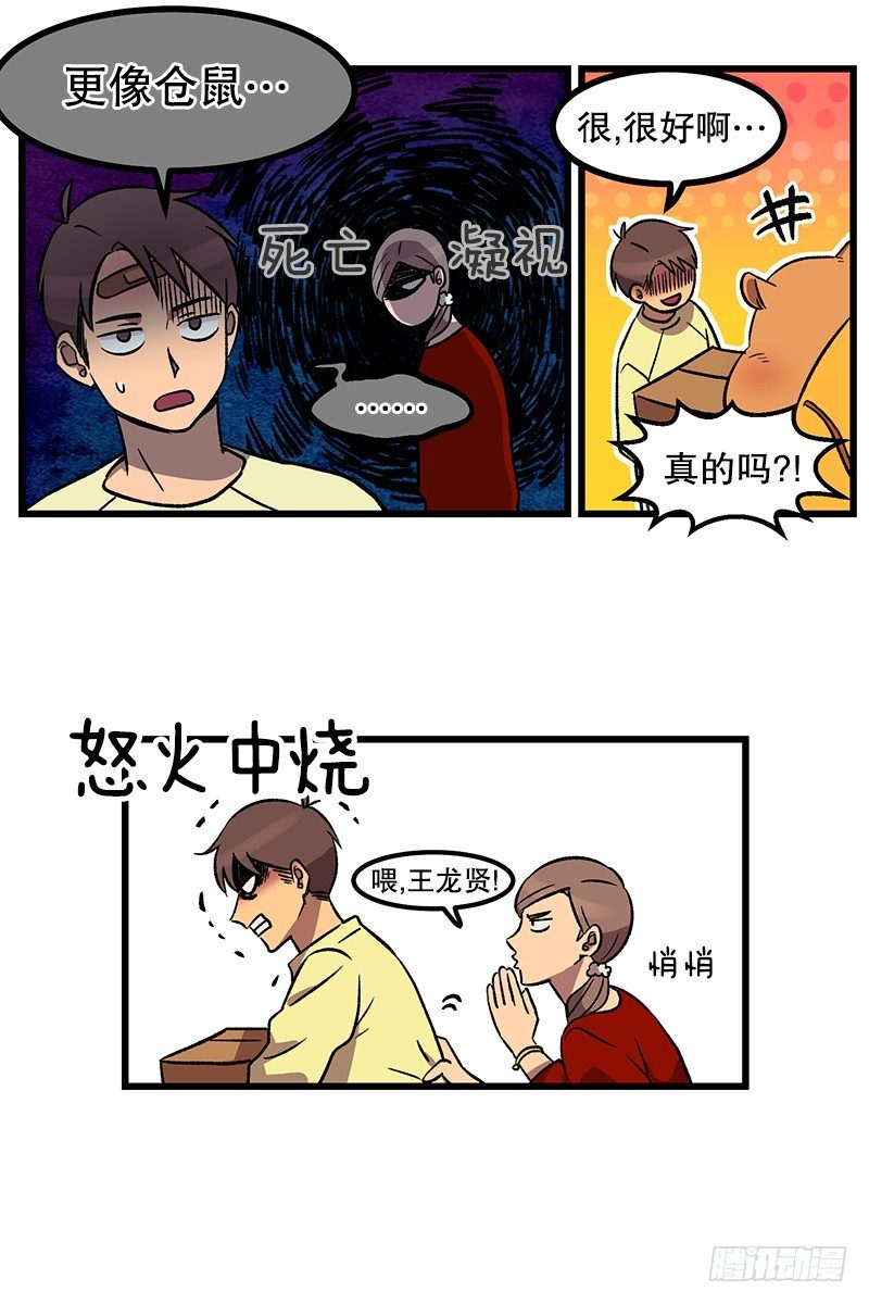 《我家没有正常人》我爹是仓鼠？! 第17页