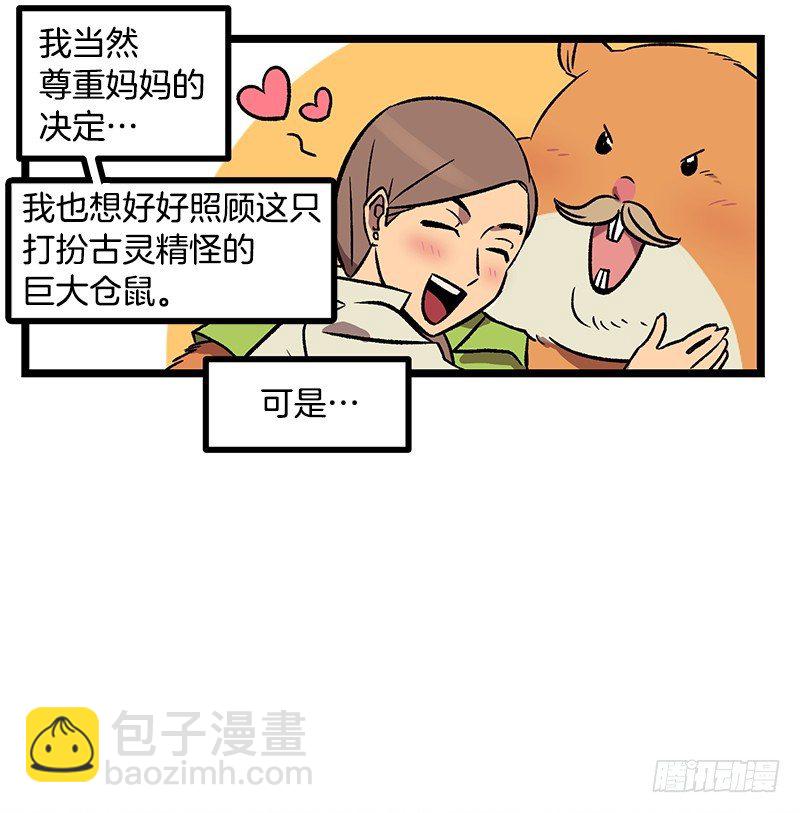 《我家没有正常人》新的家庭成员 第4页