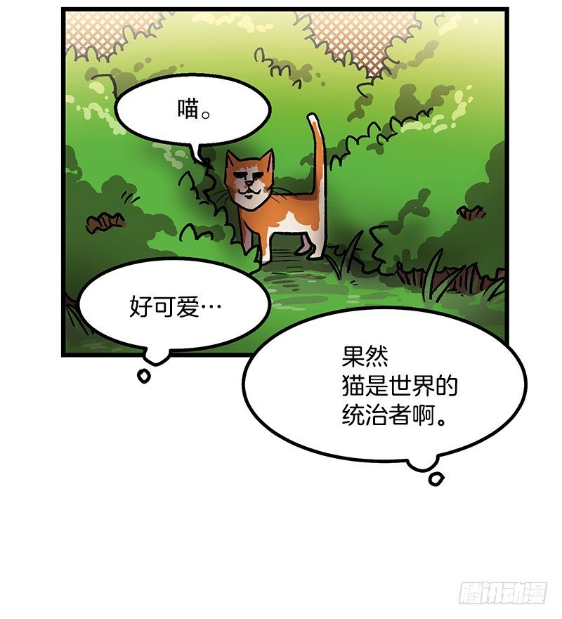 《我家没有正常人》差别对待 第21页