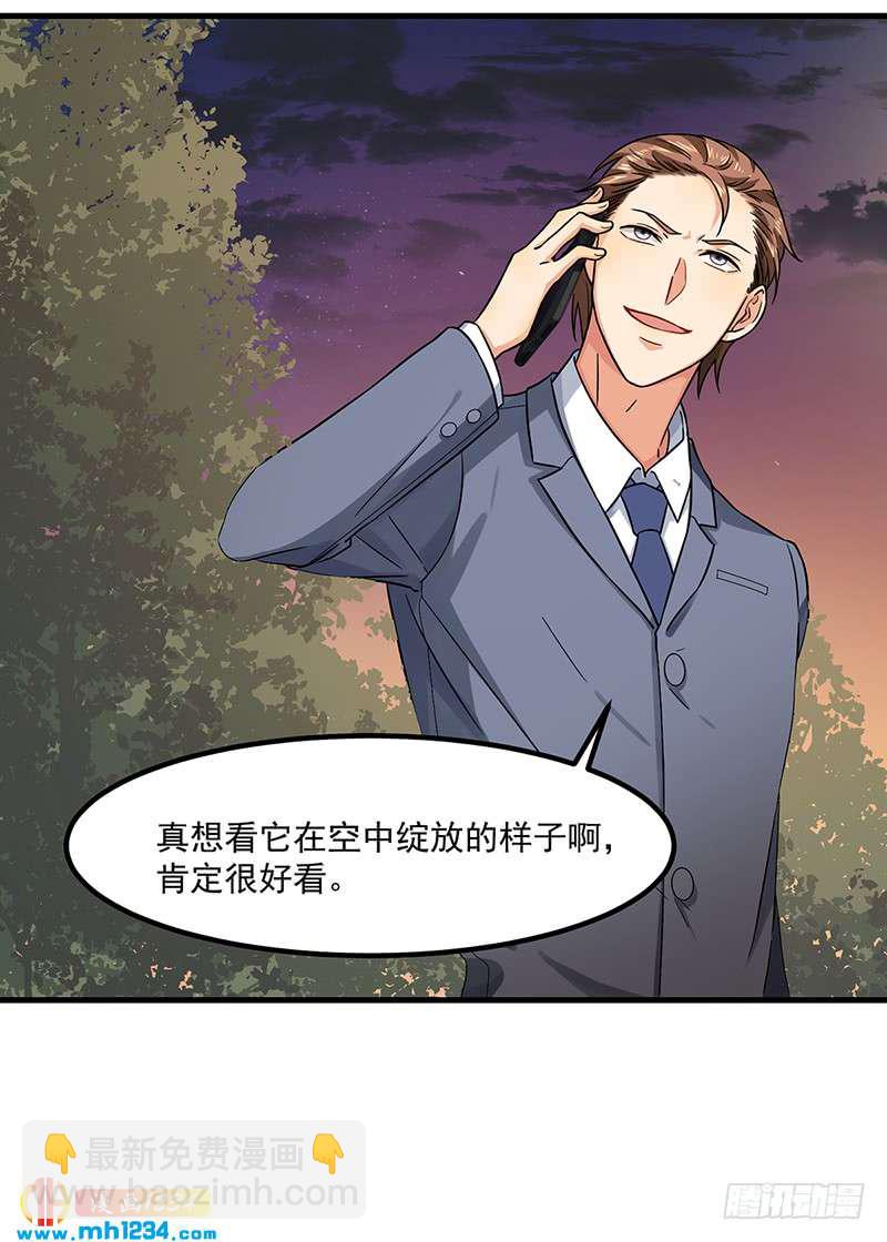《隐婚总裁别乱来》第46话 摩天轮危机 第24页