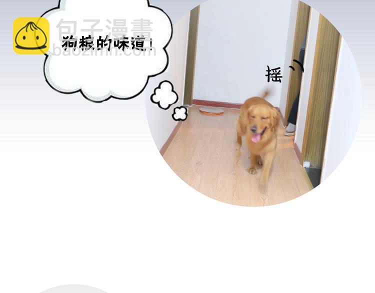 《主编的床》第1期 金丘 第19页