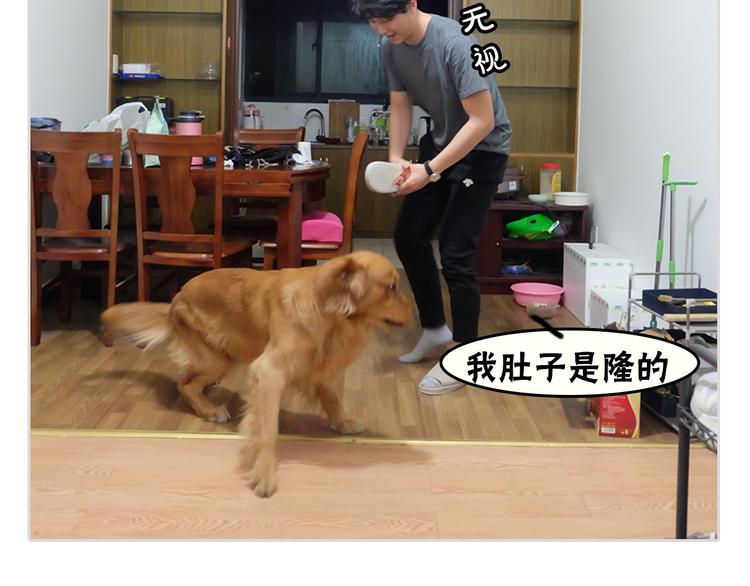 《主编的床》第1期 金丘 第50页