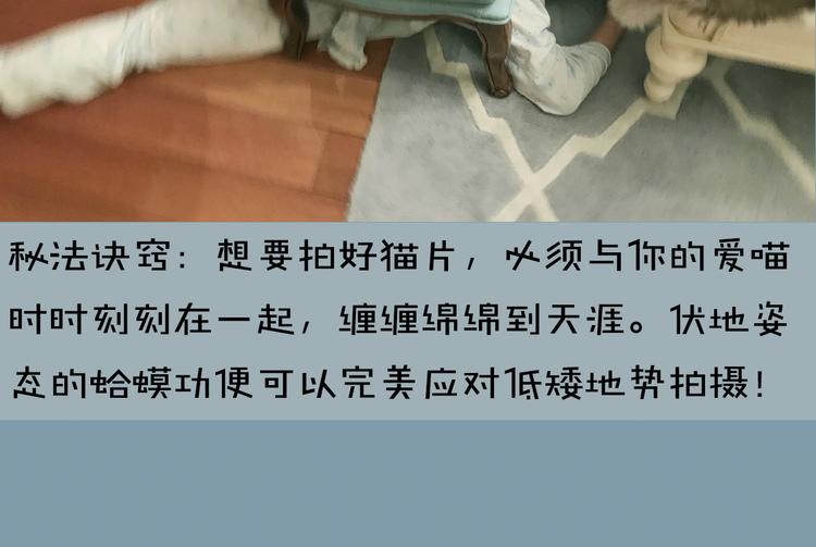 《主编的床》第4期 郭斯特 第49页