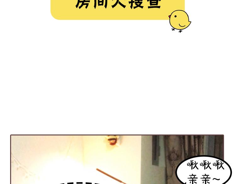 《主编的床》第6期 千本SheaBob 第39页
