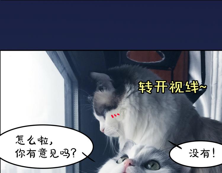《主编的床》第4期 郭斯特 第29页