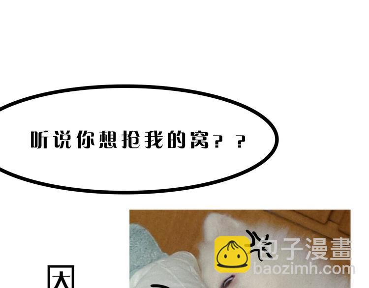 《主编的床》第9期 柯小 第41页