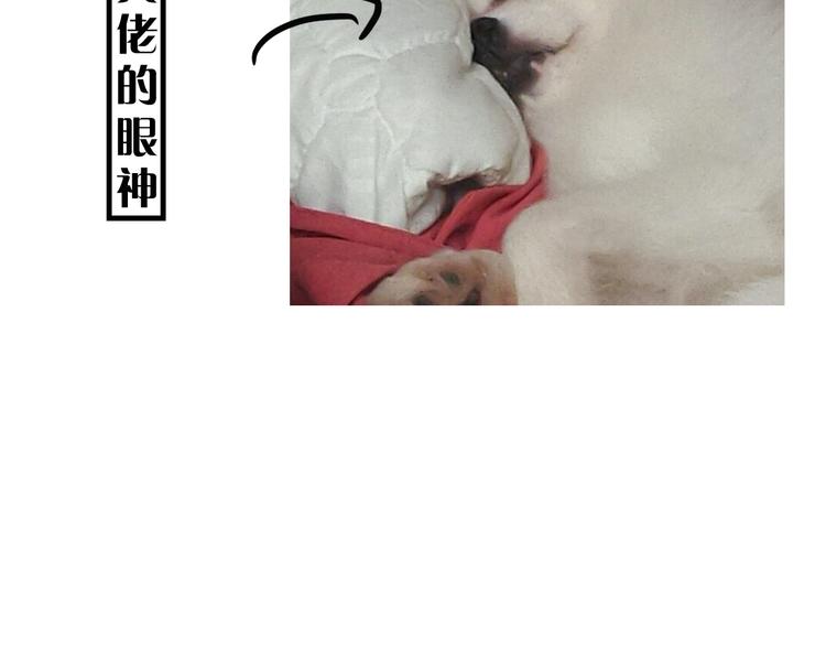 《主编的床》第9期 柯小 第42页