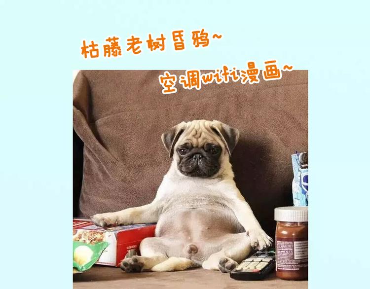 《主编的床》第14期 赤喵喵 第35页