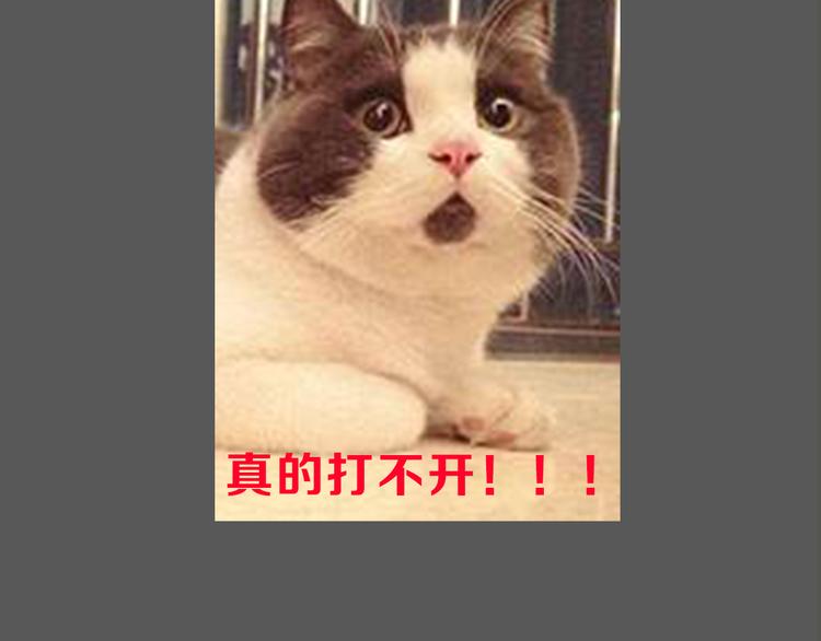 《主编的床》第13期 冰山佼佼 第19页