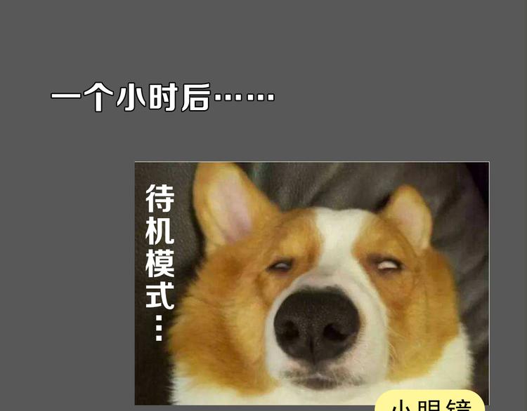《主编的床》第13期 冰山佼佼 第49页