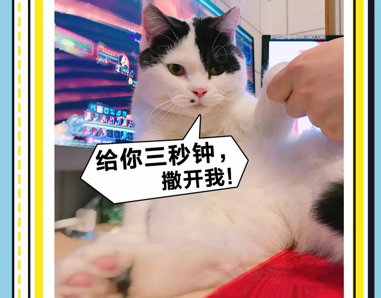《主编的床》第16期 胡桃 第45页