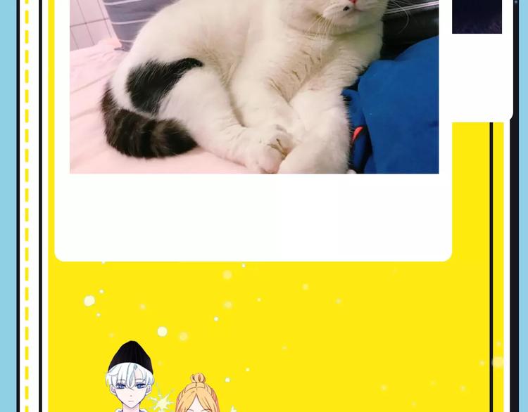 《主编的床》第16期 胡桃 第47页
