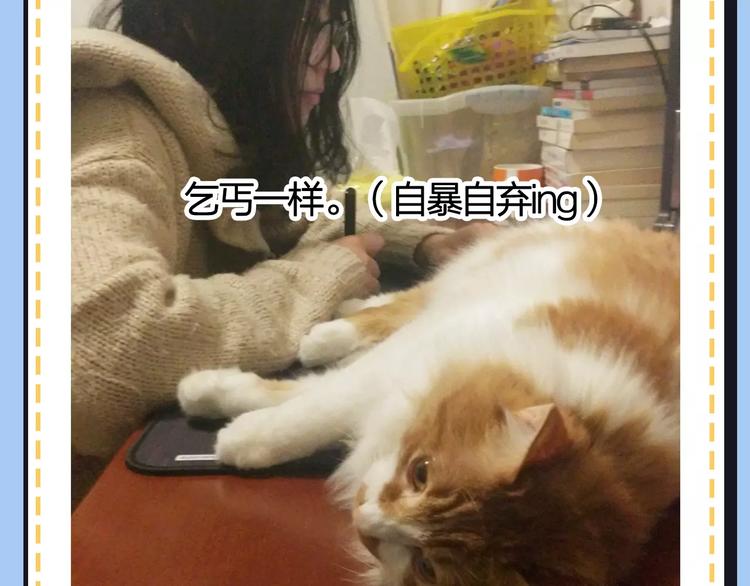 《主编的床》第20期 青庭 第49页
