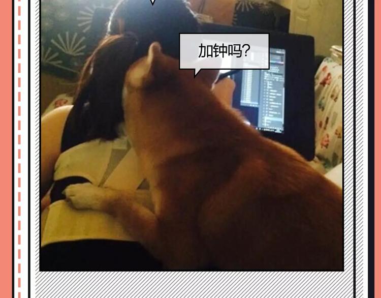 《主编的床》第21期 小野酵母 第45页
