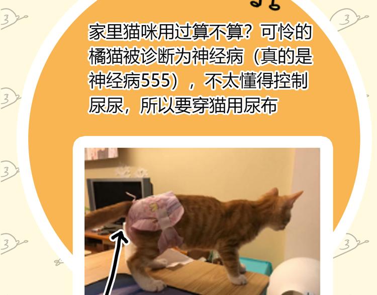 《主编的床》第24期 大宝贝揭秘！ 第44页