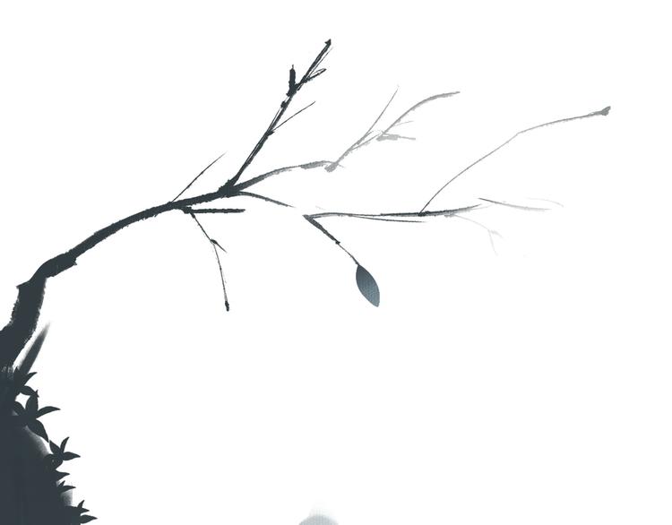 《主编的床》第26期一罐子老丸 第2页