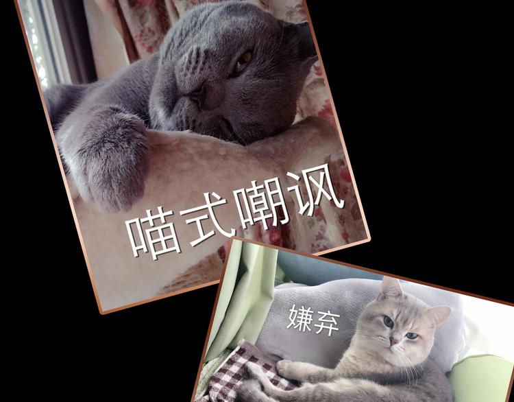 《主编的床》第32期 LALA二世 第42页