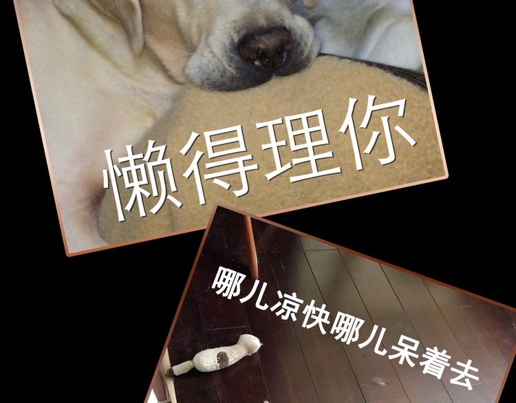 《主编的床》第32期 LALA二世 第44页