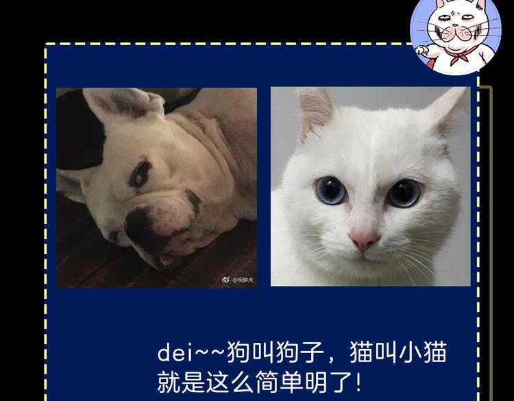 《主编的床》第33期 祝耕夫 第21页