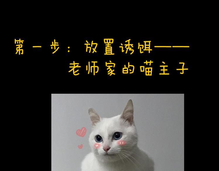 《主编的床》第33期 祝耕夫 第4页