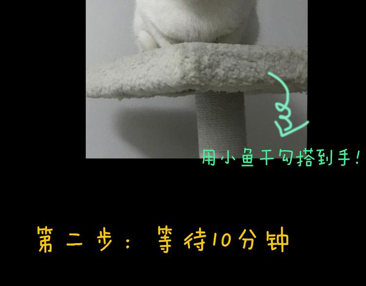《主编的床》第33期 祝耕夫 第5页
