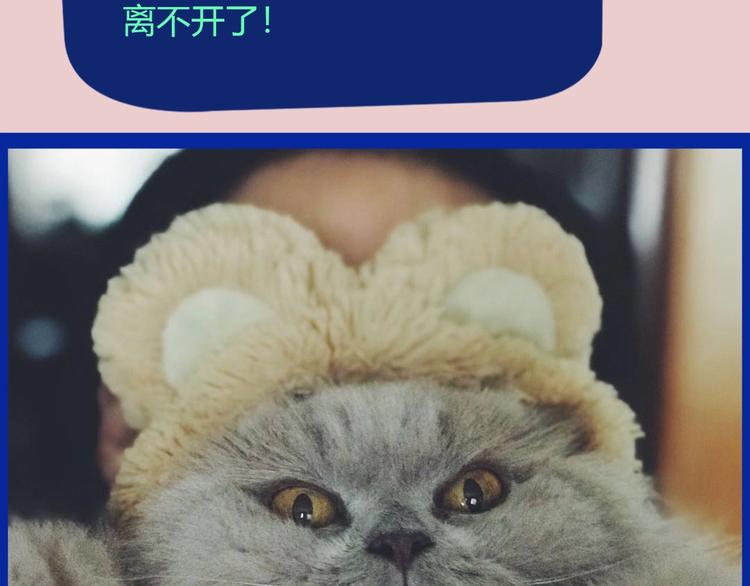 《主编的床》第50期武学奇才桂大富 第24页