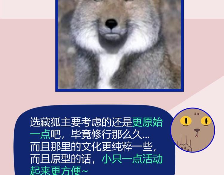 《主编的床》第50期武学奇才桂大富 第27页