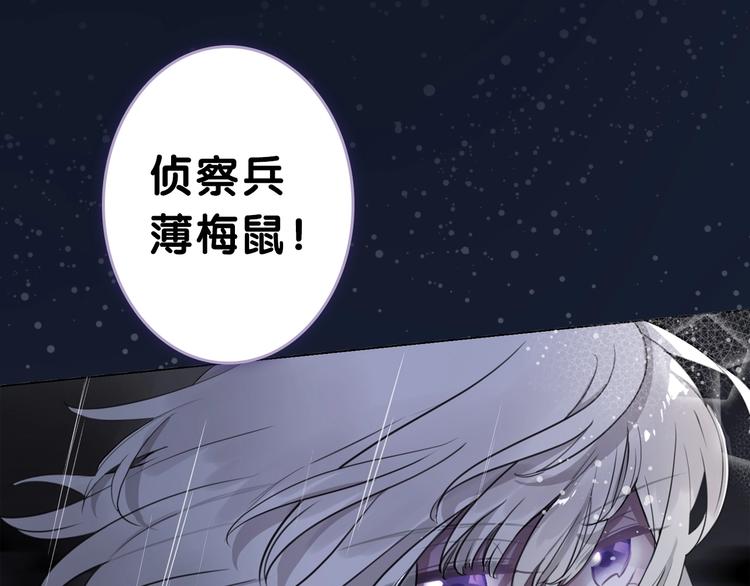 《主编的床》第51期 黑角兔 第1页