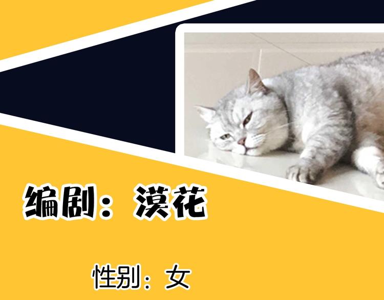 《主编的床》第48期苍苍x漠花 第11页
