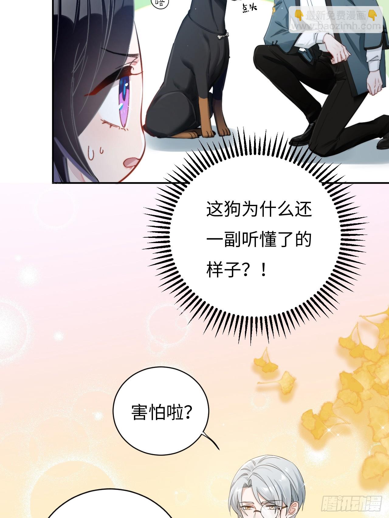 《华灯异仕第一季》限定城市篇几好恰！ 第17页