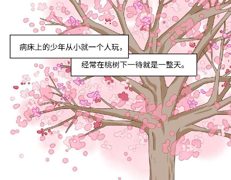 《西子路的镇宅兽》第8话 桃灵和少年 第16页