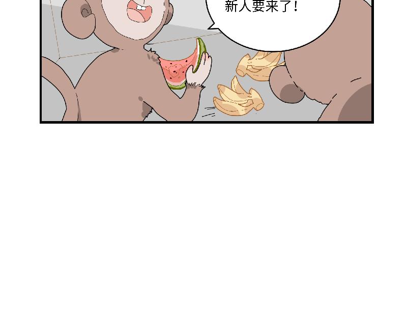 《西子路的镇宅兽》第11话 动物园求职记 第37页