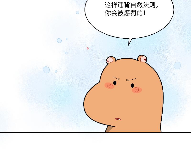 《西子路的镇宅兽》第8话 桃灵和少年 第41页