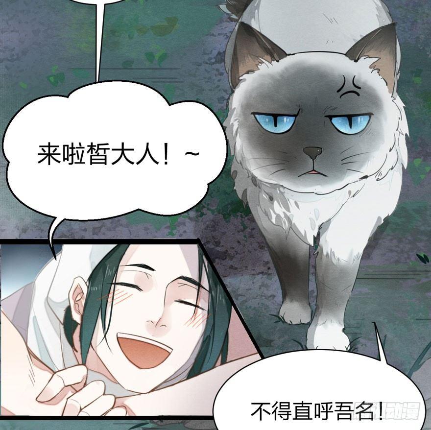 《梦塔之魇魂师》为抢男主，黑脸猫竟出口成（）？ 第16页