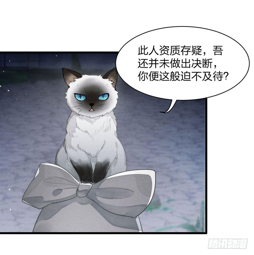 《梦塔之魇魂师》为抢男主，黑脸猫竟出口成（）？ 第21页